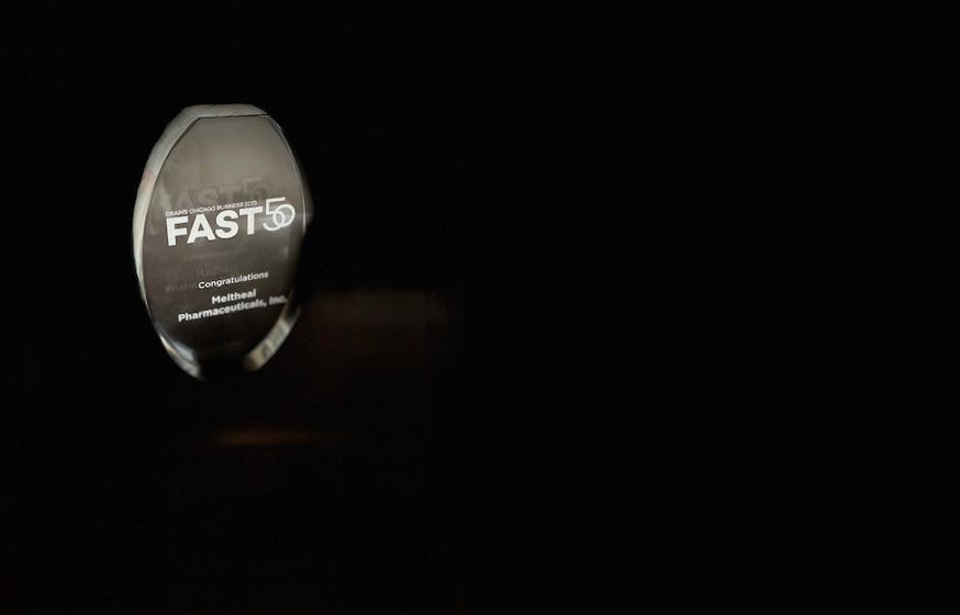 Meitheal ranked #4 of Crain's Chicago Fastest Growing Companies